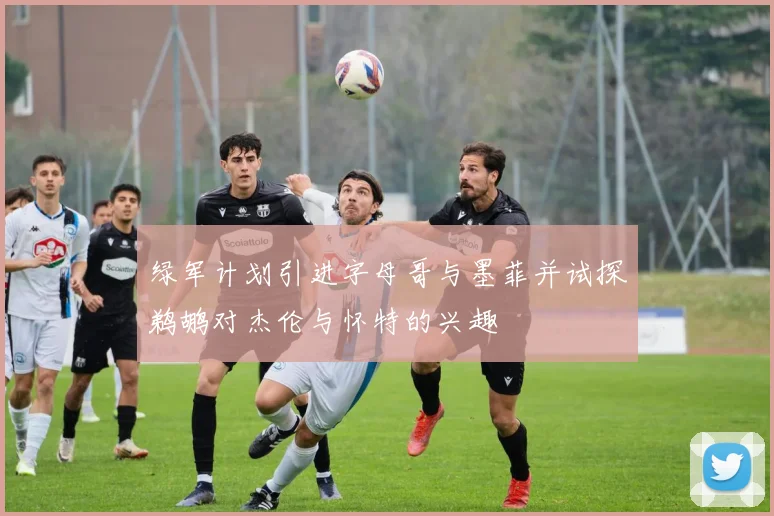 绿军计划引进字母哥与墨菲并试探鹈鹕对杰伦与怀特的兴趣